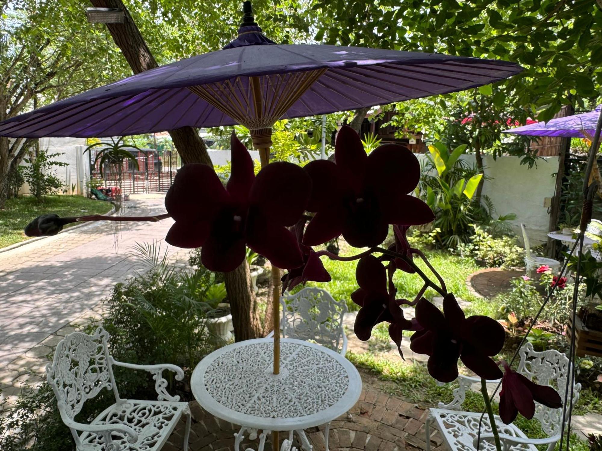 Chiang Mai Las Orquideas Resort Eksteriør bilde