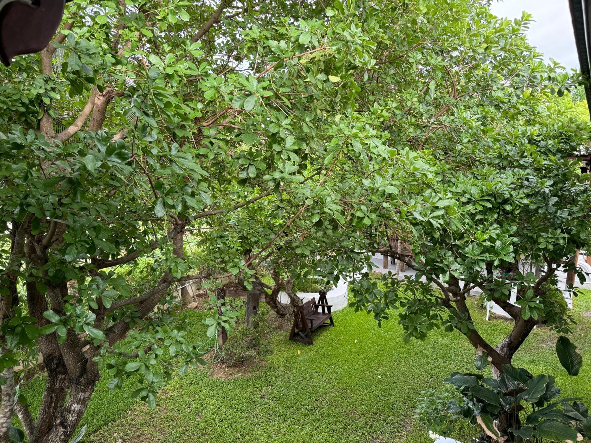 Chiang Mai Las Orquideas Resort Eksteriør bilde
