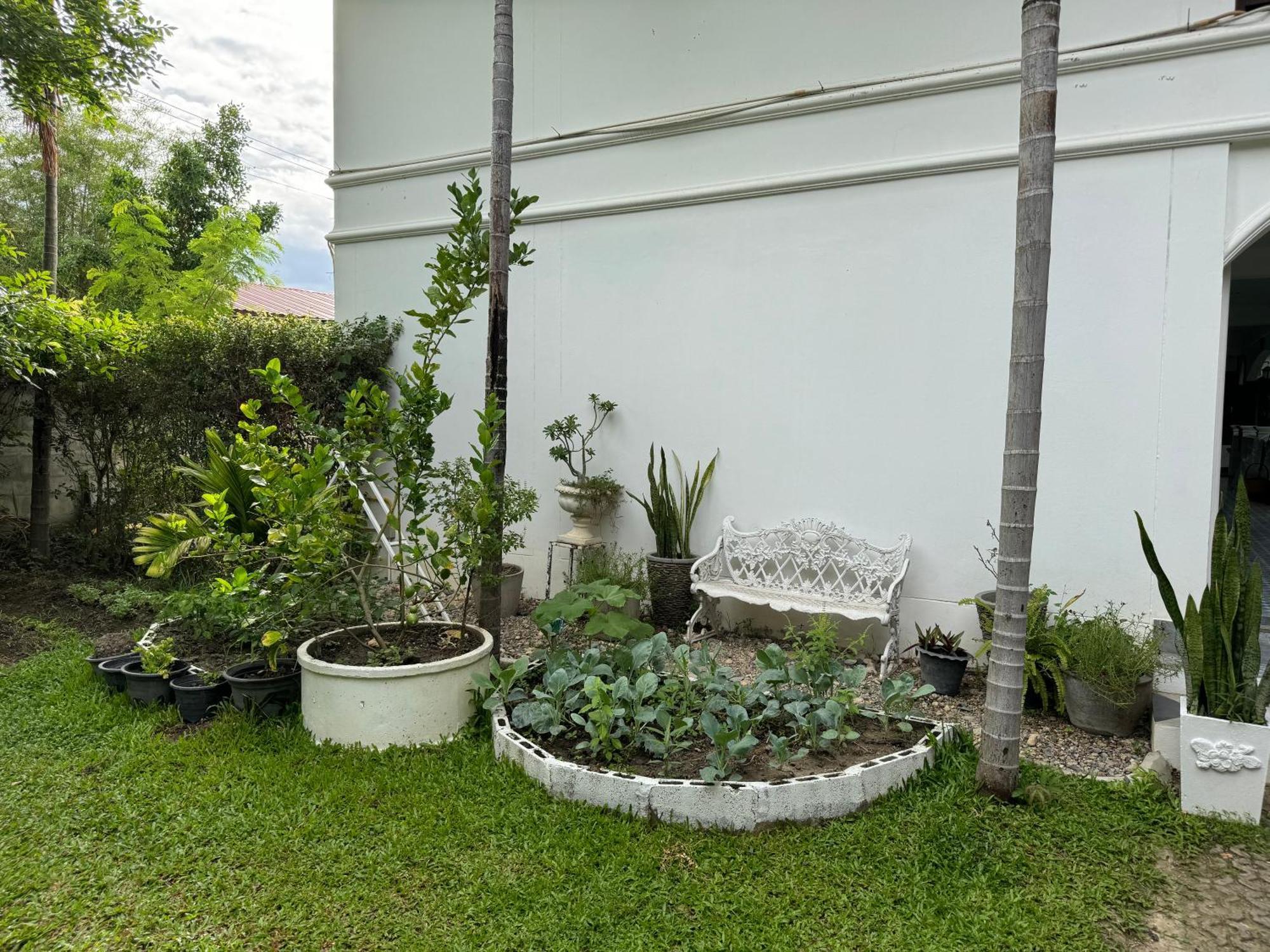 Chiang Mai Las Orquideas Resort Eksteriør bilde